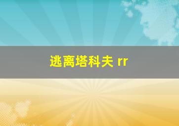 逃离塔科夫 rr